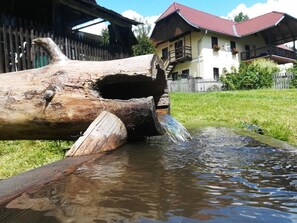 Staudachhof - Urlaub am Bauernhof