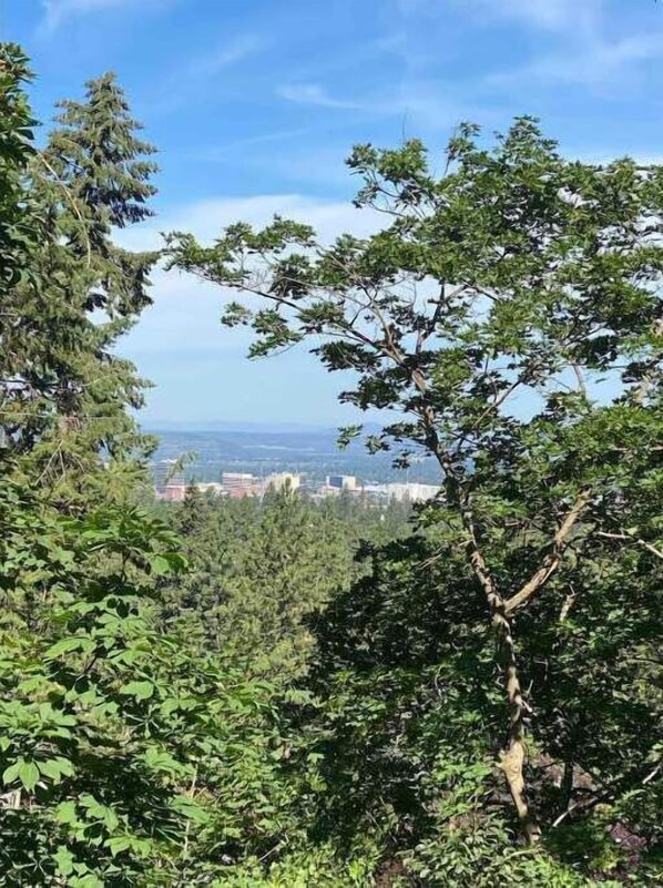 Boendeområde