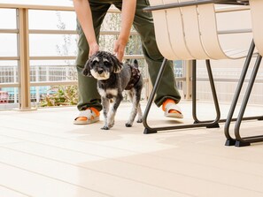・[Pets] This is a vacation rental property where dogs (small and medium-sized dogs) are welcome.