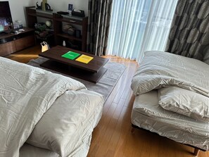 1st floor: 2 sofa beds