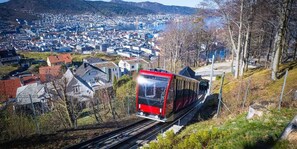 You can choose to either take the funicular for 7` minutes or walk for 45`minutes to reach the top. 
Fløystuen Cafè is waiting with delicious hot waffles !