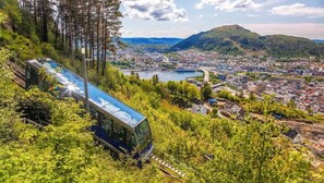 You can choose to either take the funicular for 7` minutes or walk for 45`minutes to reach the top. 
Fløystuen Cafè is waiting with delicious hot waffles !