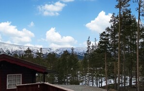 view-from-room