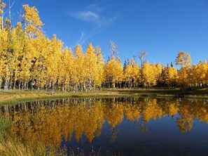 Diamond Resorts Cedar Breaks Lodge & Spa_4.jpg