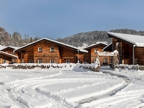 Extérieur maison de vacances [hiver]