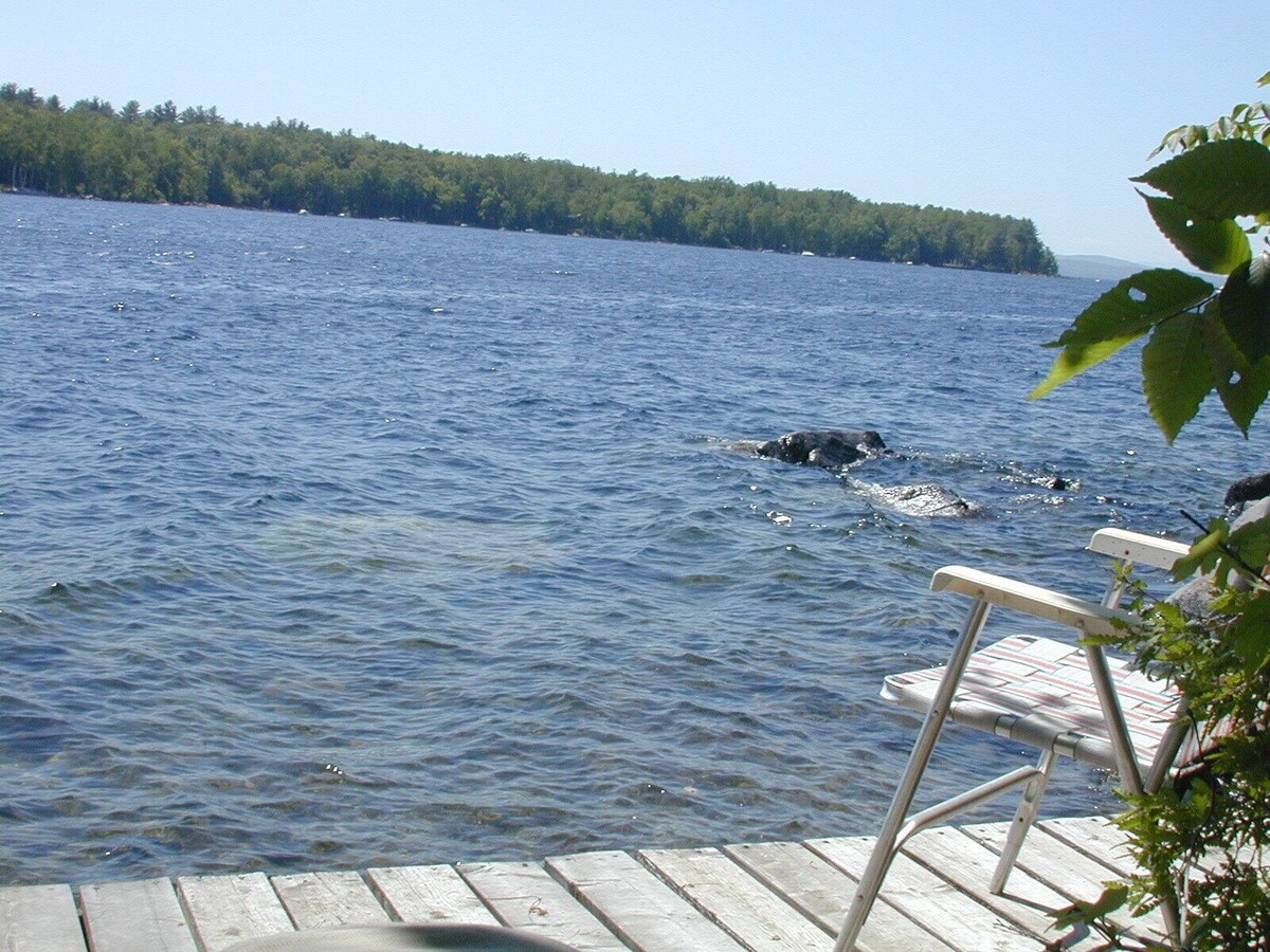 Vintage cottage with beautiful mountain views across Sebago Lake.