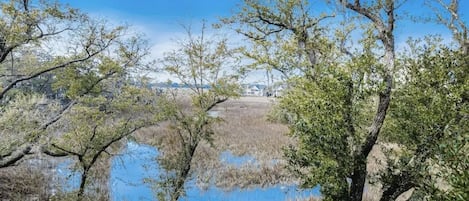 Overnatningsstedets område