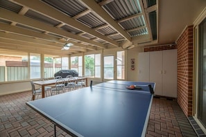 Ping Pong Table