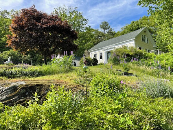 Late spring blooms