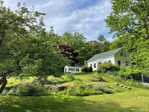 Apple tree view