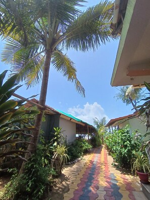 beautiful garden 