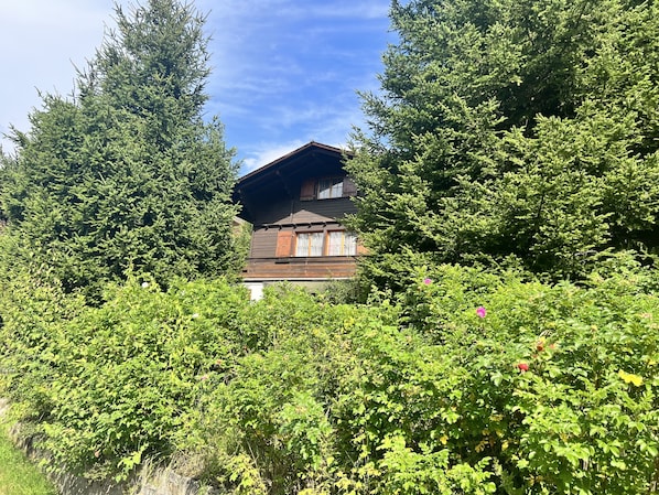 Extérieur