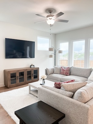 Lower Level Living Room