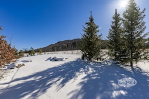 Mountainside - Backyard