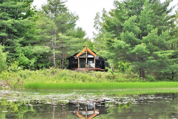 The Coorie Cabin Nestled in the Trees Overlooking Pine Brae Pond