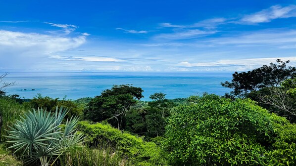 OCEAN VIEW