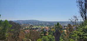 View from backyard canyon