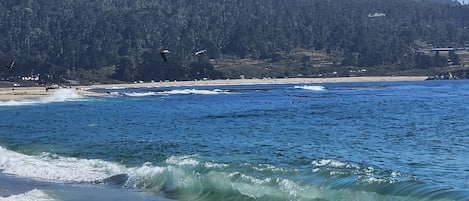 Playa