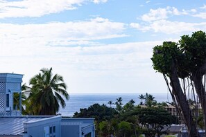 Views of the Ocean from the Lanai