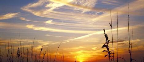 sunset on beach