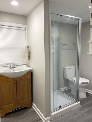 En Suite bathroom in Master Bedroom