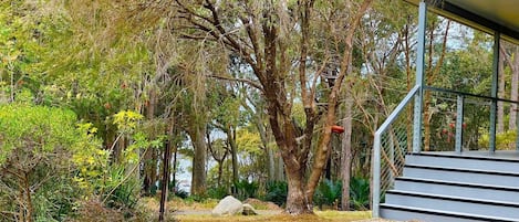 Terrenos do alojamento