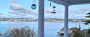 Local Hummingbird enjoying a drink and the view! 