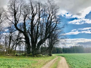 Boendeområde
