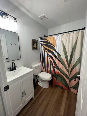 Modern Chic bathroom with shower and tub combo