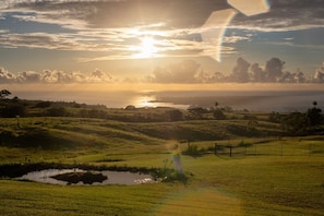 Serene Hawaiian Eco Village 15 minutes from Hilo