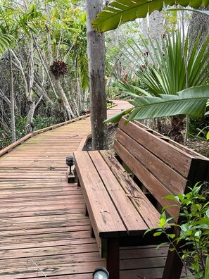 Boardwalk