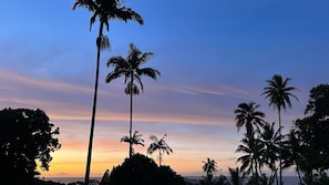 Sunset views from the fruit orchard.