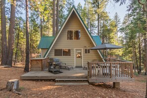 Picture Perfect Cabin in the Woods