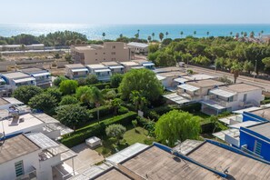 Overview