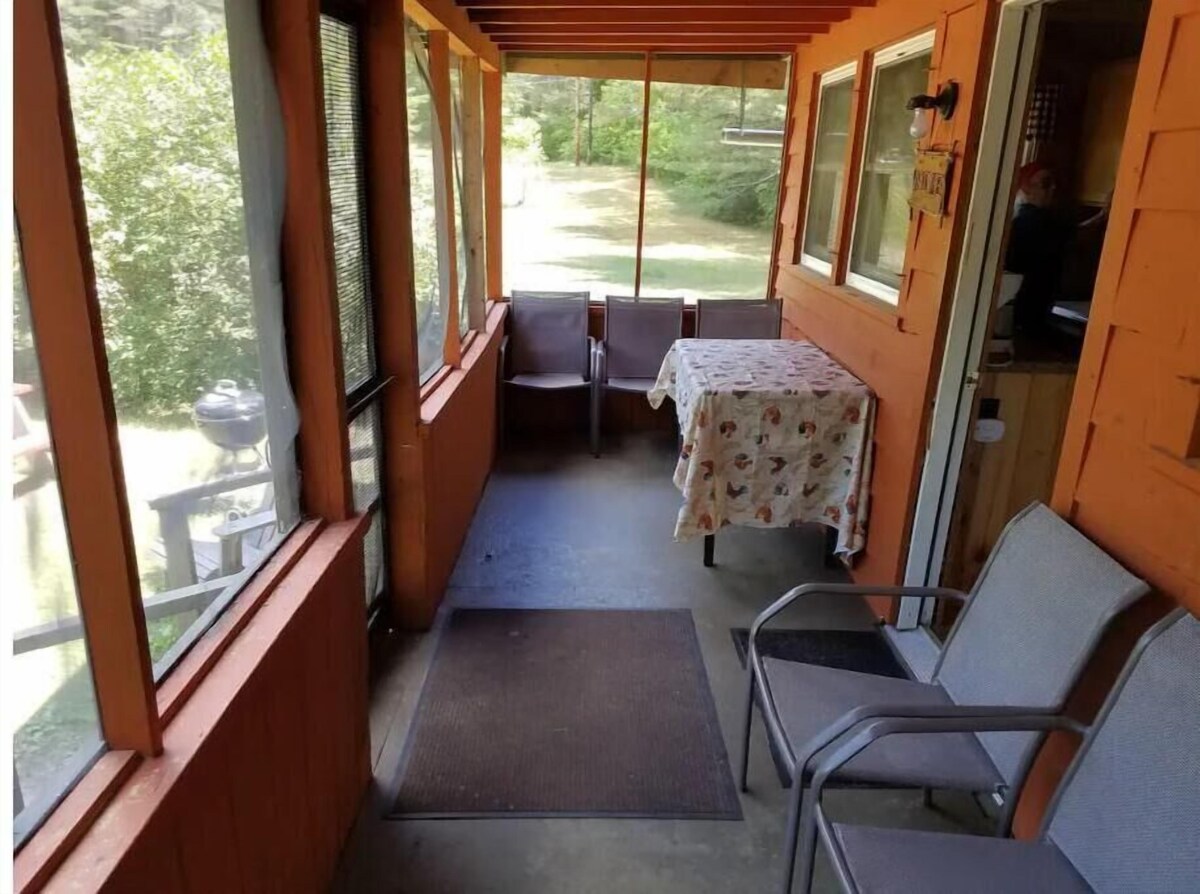 Adirondack Birch Inspired Cabin