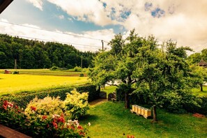 Utsikt från stugan [sommar]