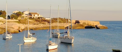 Port de plaisance