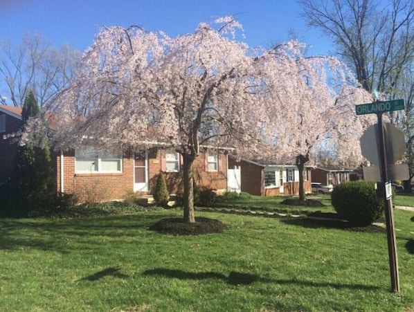 Front of house in the Spring Time