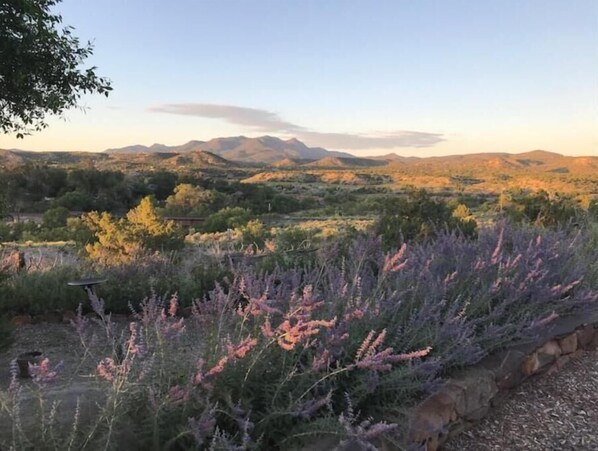 Russian sage and a summer view of the Ortiz Mountains just16 miles from Santa Fe