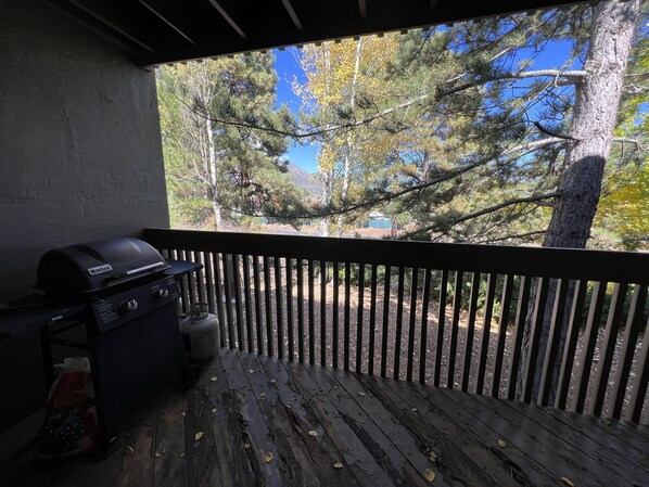 Balcony with propane grill