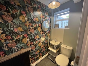 Downstairs Toilet