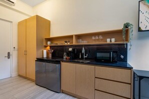 Fully equipped kitchen and closet