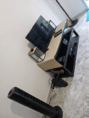 Television