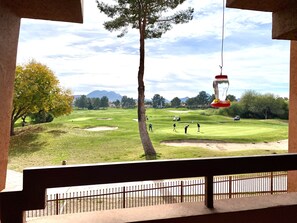 Golfe