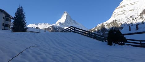 Sneeuw- en skisporten