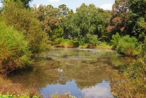 There's Bass and Brim waiting for you to catch at Jadon's Pond.