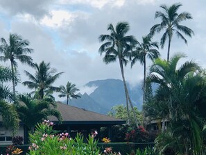 Epic mountain and waterfall views from home