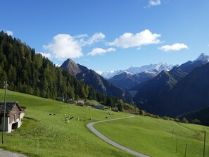 View