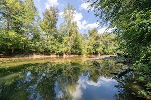 River that runs behind the cabin!