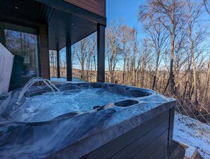 Outdoor hot tub against a backdrop of bare winter trees.